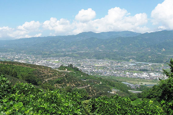 Distant view of Katsuragi Town