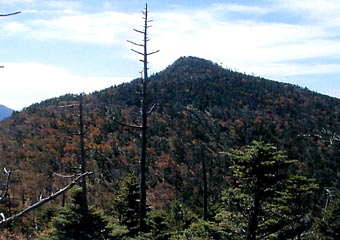 Bukkyogatake Primeval Forest