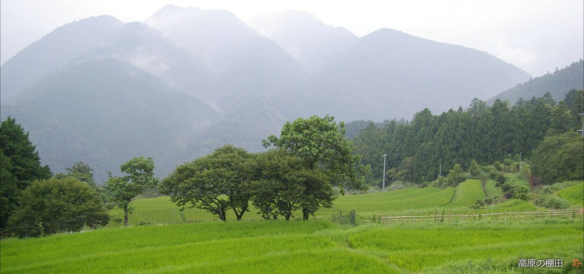 Tanada in Takahara