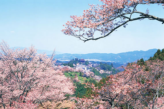 画像：吉野・大峯