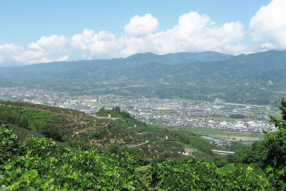 町石道から眺めるかつらぎ町