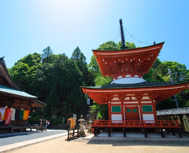 高野山 慈尊院