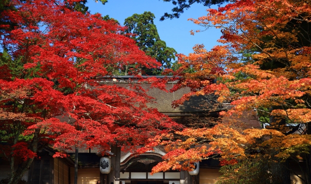 高野山 金剛峯寺