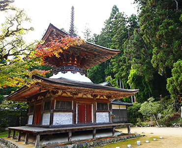 高野山 金剛三昧院