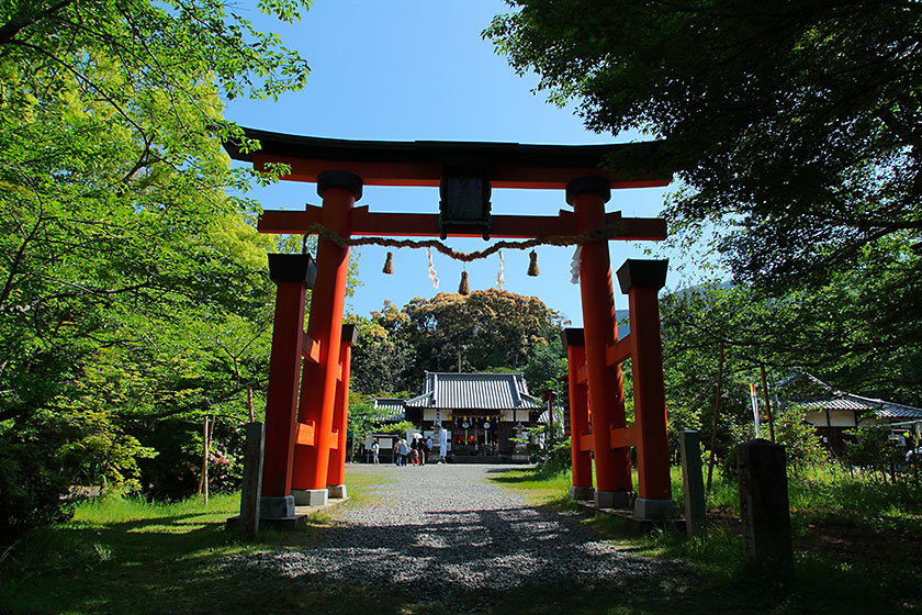 丹生官省符神社 参道