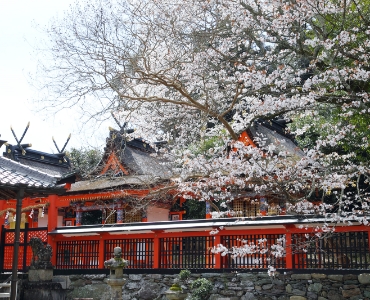 高野山 丹生官省符神社