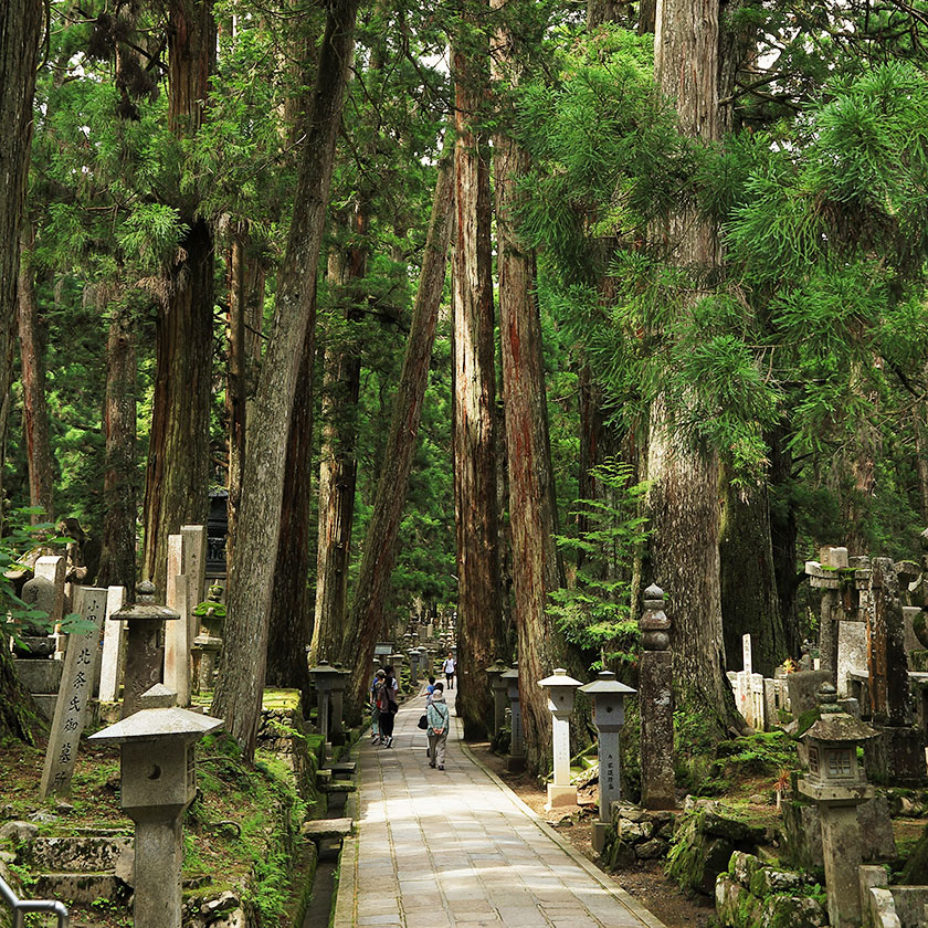 高野山 奥之院参道