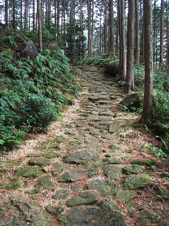 伊勢路 八鬼山越の石敷道