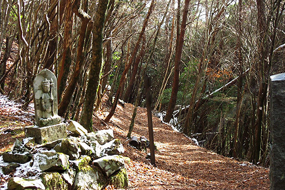 小辺路 果無峠