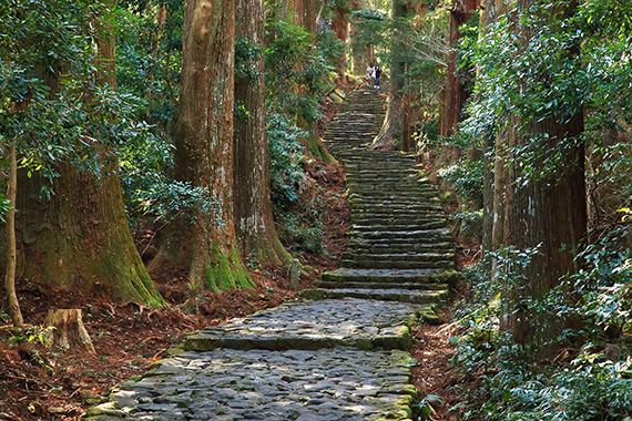 中辺路 大門坂