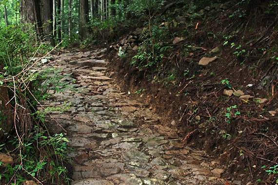 中辺路 男坂