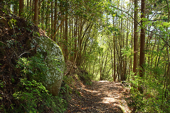 中辺路 潮見峠越