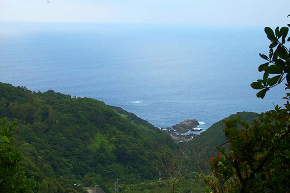 大辺路 長井坂から眺める枯木灘海岸