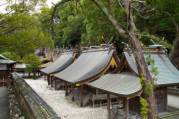 大辺路 鬪雞神社