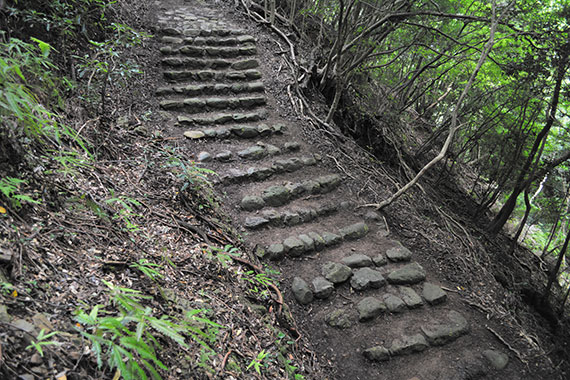 大辺路 富山平見道