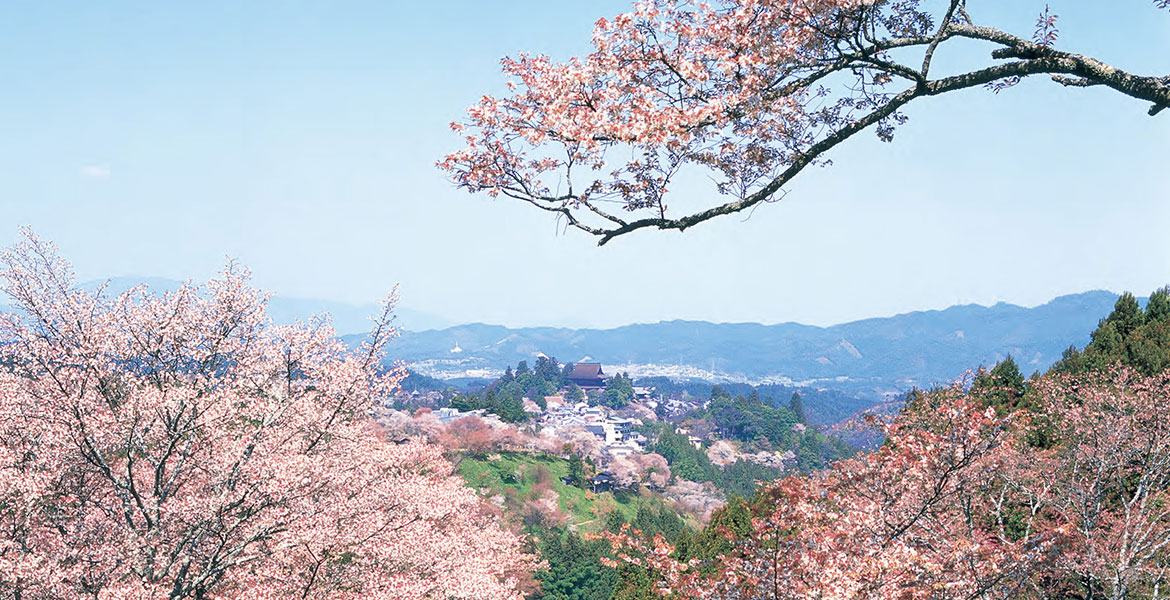 吉野・大峯