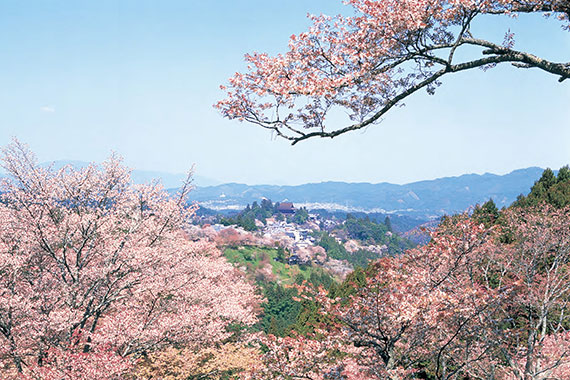 吉野山