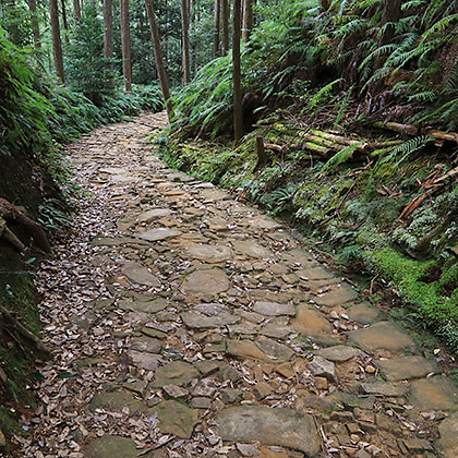 熊野古道イメージ