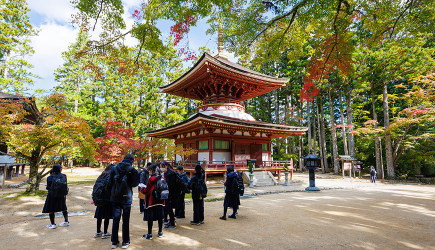 次世代育成事業・高野