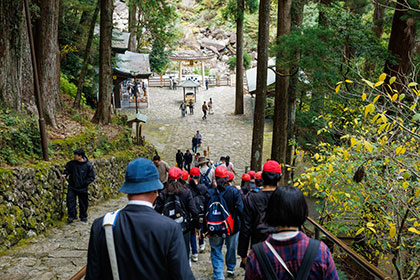 那智の滝へ石段を下る