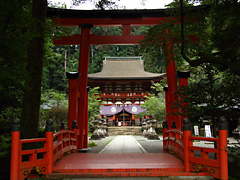 丹生都比売神社